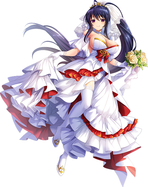ハイスクールD×D＆神姫プロジェクトコラボ記念！キャンペーン特設サイト